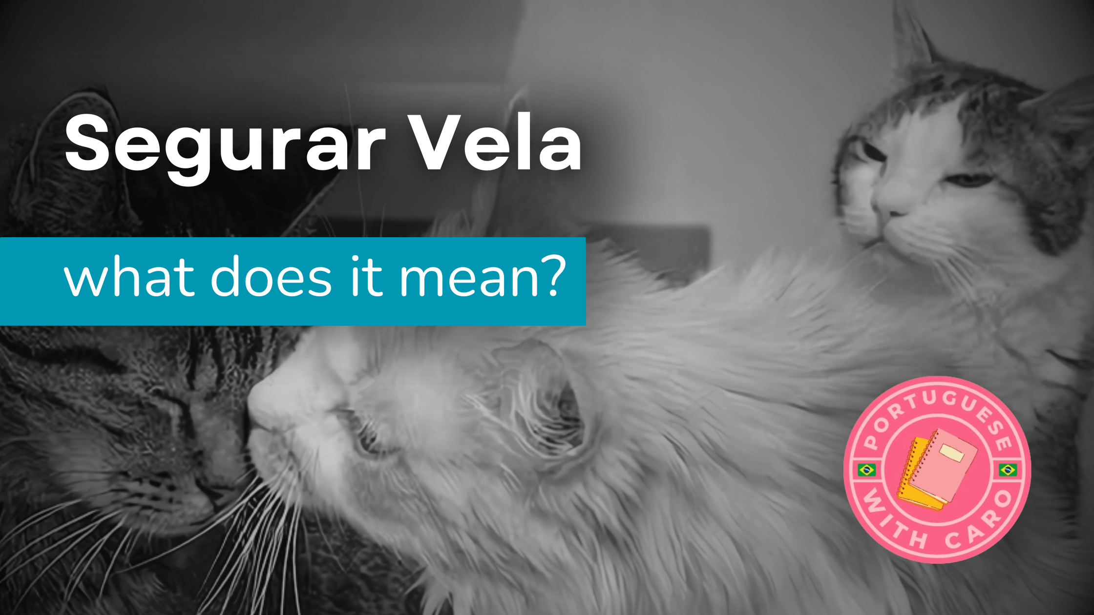 The Meaning of “Segurar Vela”