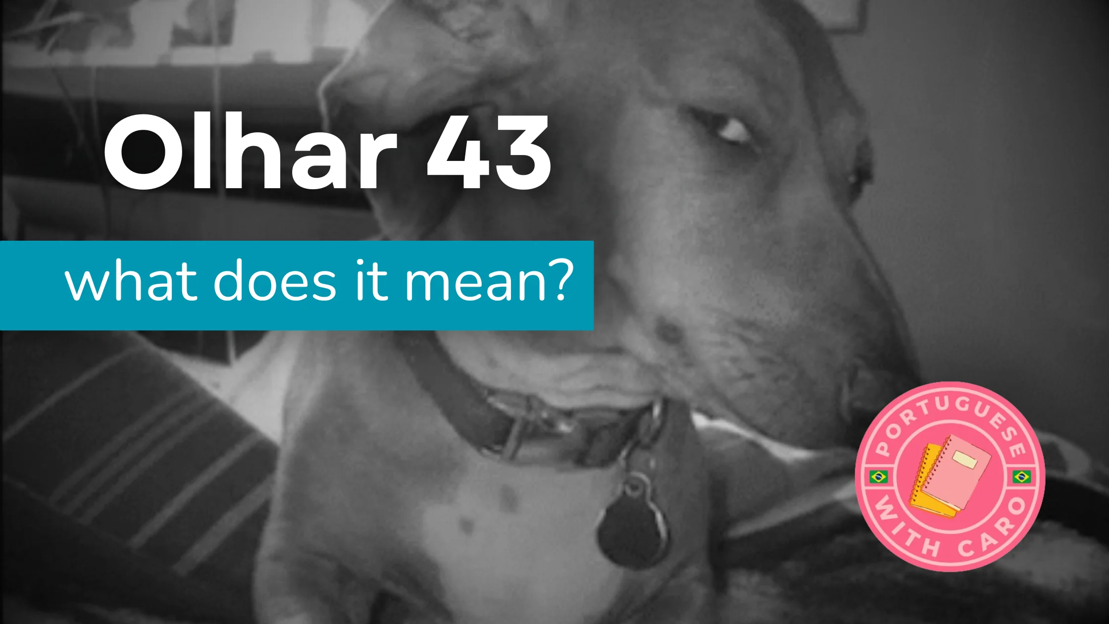The Meaning of “Olhar 43”