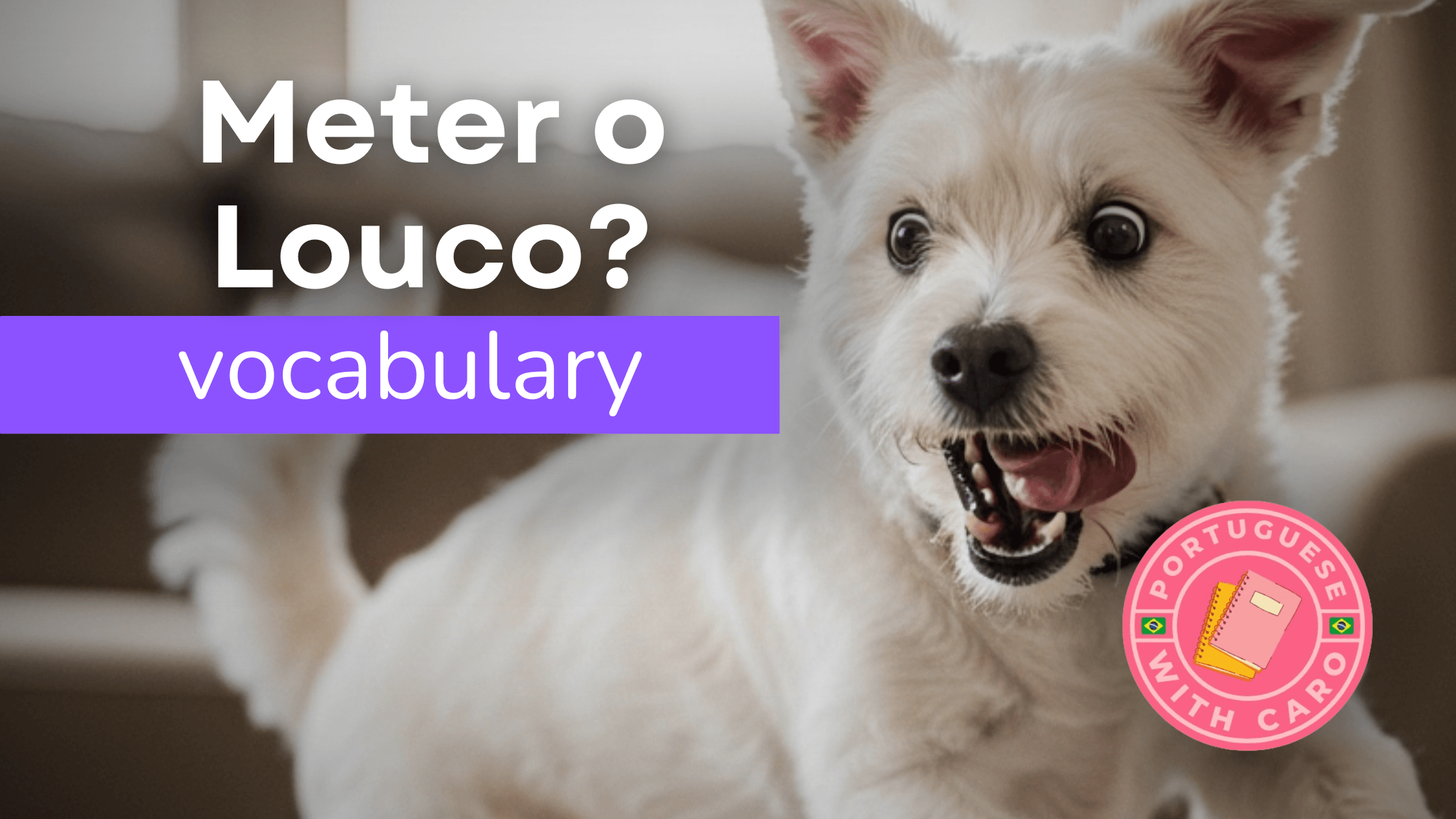 15 Brazilian Verbs You Didn’t Learn in Class (But Everyone Uses!)