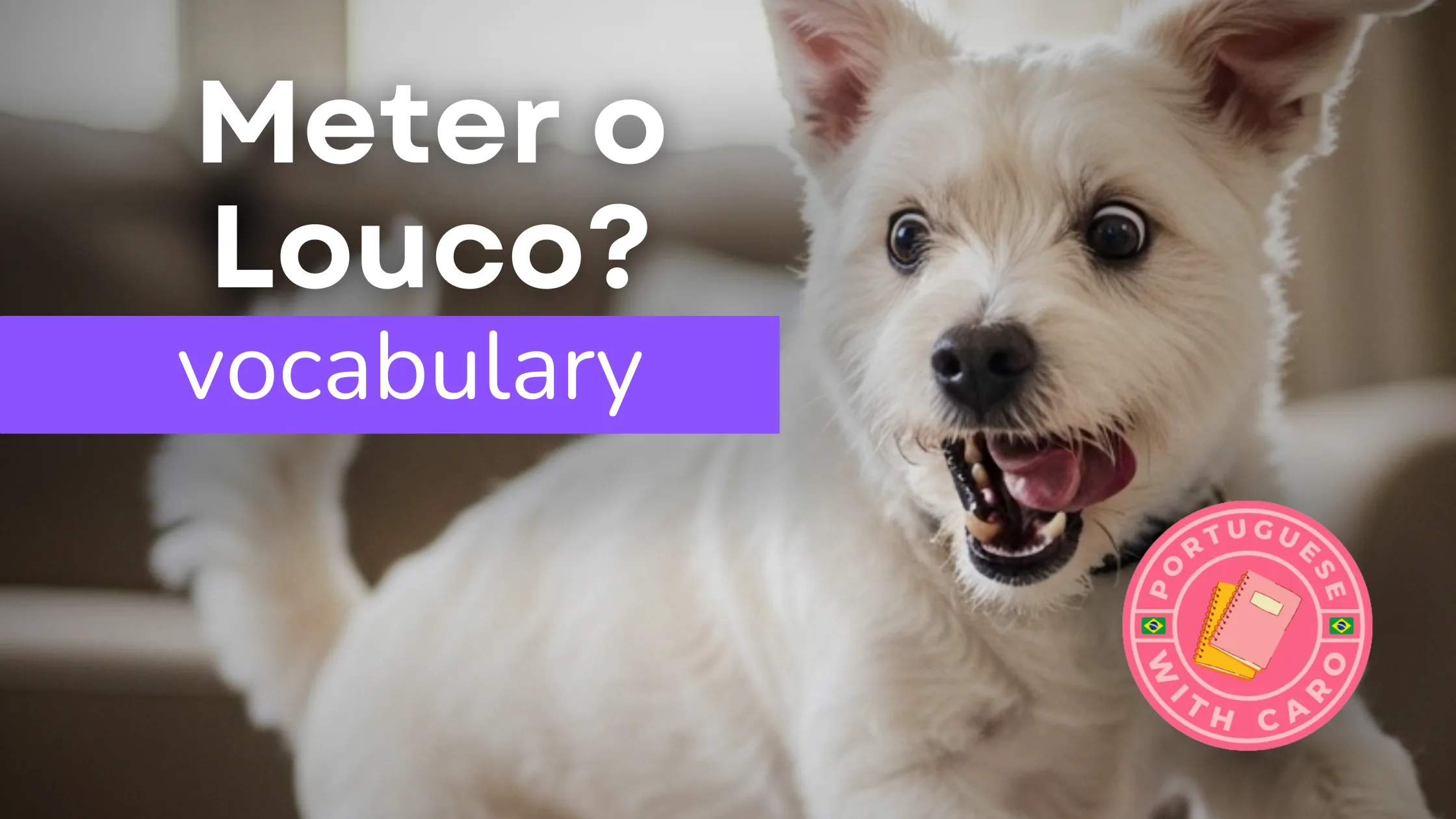 15 Brazilian Verbs You Didn’t Learn in Class (But Everyone Uses!)