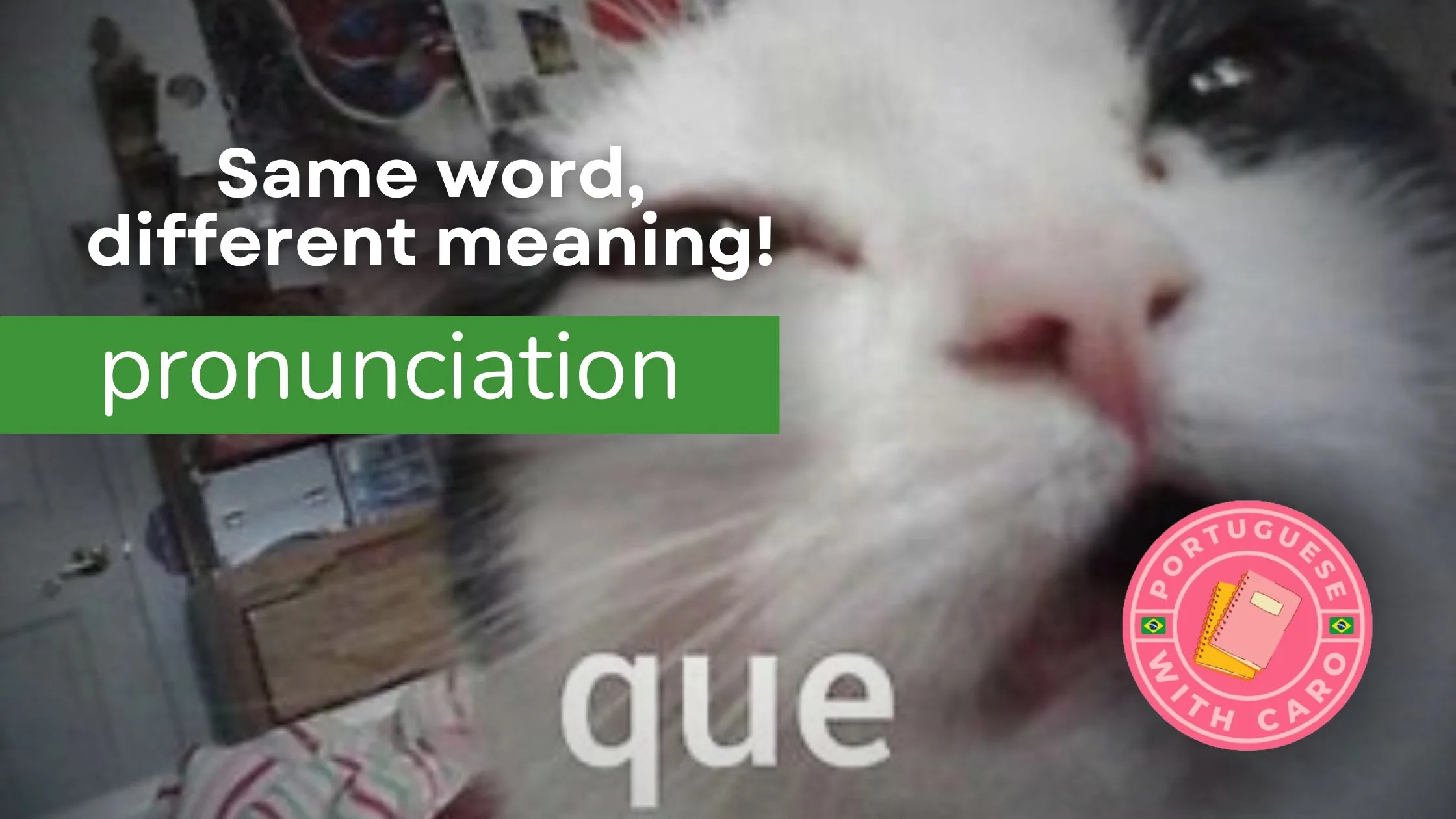 Words that Look the Same, But Mean Different Things